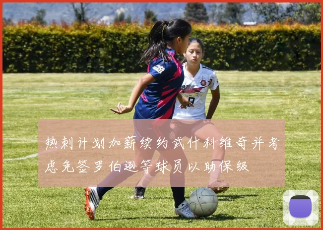 热刺计划加薪续约武什科维奇并考虑免签罗伯逊等球员以助保级